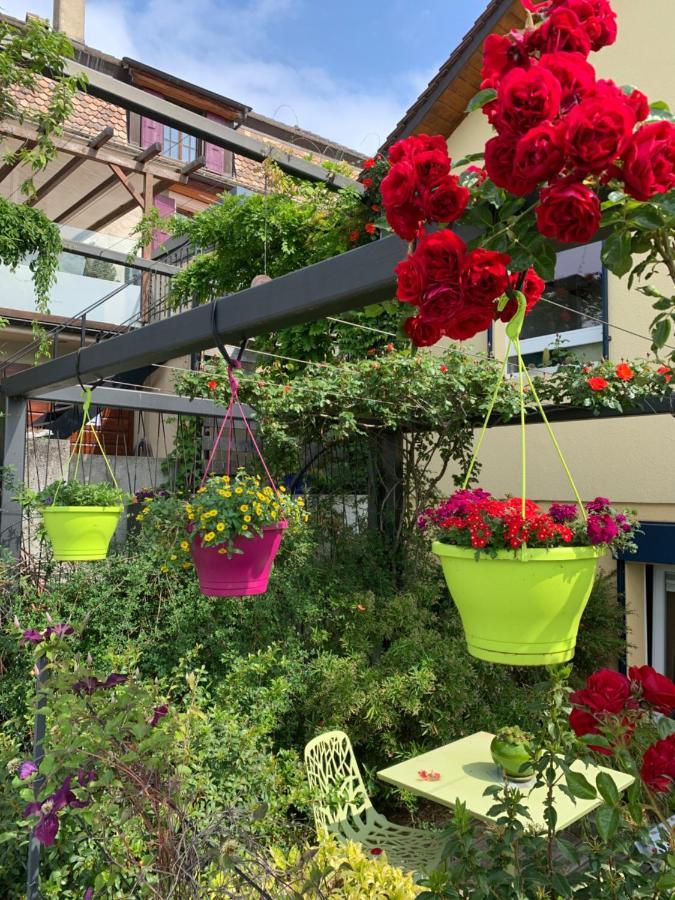 Apartamento La Gremillette Gourmande Lavaux Rivaz Exterior foto